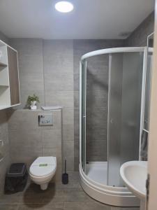 a bathroom with a shower and a toilet and a sink at Aura Apartmani Vrnjačka Banja in Vrnjci +17 photos