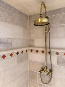 a shower with a shower head in a bathroom at Château D - Roncheval in Mouscron