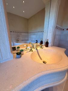 a bathroom with two sinks and two faucets at Château D - Roncheval in Mouscron