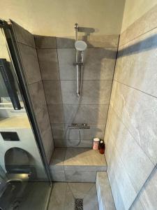 a shower with a glass door in a bathroom at Le Beaupré face au lac Leman in Évian-les-Bains +13 photos