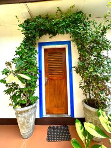 a house with a blue door and two potted plants at Solitude in Sri Jayewardenepura Kotte