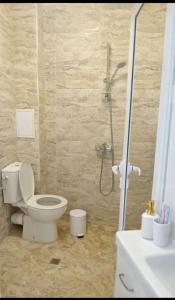 a bathroom with a shower with a toilet and a sink at Shaterovi Gerbera Panoram in Plovdiv +5 photos
