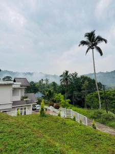 a house on a hill with a palm tree at River Side Paradise By Greenleaves Munnar in Anachal