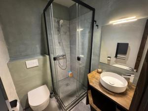 a bathroom with a shower and a toilet and a sink at Le Chaplin face au lac Léman in Évian-les-Bains +11 photos