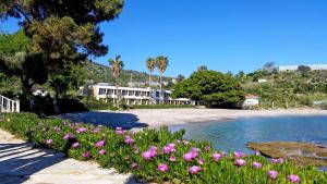 a bunch of pink flowers on the side of a beach at Marvel Tree Hotel in Bozyazı