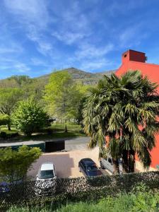 a palm tree and cars parked in a parking lot at Hôtel Saint Clair in Lourdes