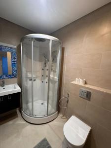a bathroom with a shower and a toilet and a sink at Perle Bleue de Gammarth in Gammarth +7 photos