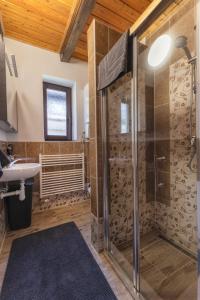 a bathroom with a shower and a sink at Anna Sela in Vrbov +53 photos