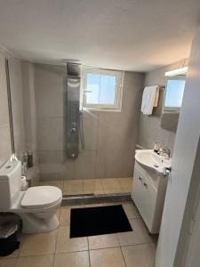 a bathroom with a shower and a toilet and a sink at METHONI LUXURY House in Methoni +10 photos