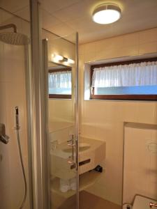a bathroom with a shower and a sink at Hochschwarzwald-Hof in Schluchsee