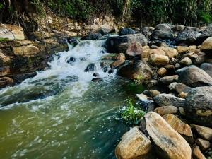 a stream of water with rocks in a river at Edinburgh Cottage's in Nanu Oya +3 photos