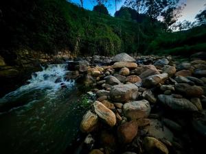 a river with rocks in the middle of a mountain at Edinburgh Cottage's in Nanu Oya