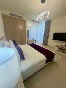 a bedroom with a large bed and a flat screen tv at Beautiful Studio Retreat in Ras al Khaimah