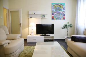 TV/Unterhaltungsangebot in der Unterkunft Apartment Zubčić