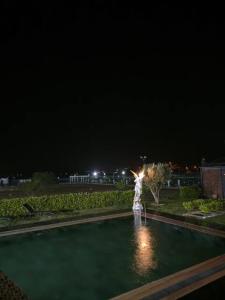 a fountain in the middle of a pool at night at Apera Garden in Sancaklı +4 photos