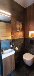 a bathroom with a white toilet and a sink at Rivera House Mrežnica in Generalski Stol +19 photos