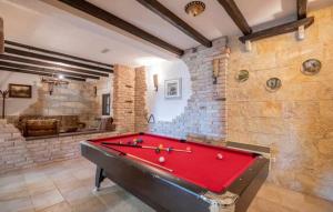 a large room with a pool table in it at Villa Ruzin Dvor in Donji Vinjani
