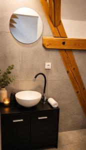 a bathroom with a sink and a mirror at Centrum Rosenbaum in Beroun