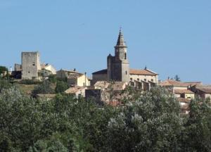 a group of buildings on top of a hill with trees at MAS de 1676 in Mallemort