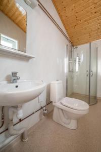 a bathroom with a sink and a toilet and a shower at Lysø naturcamping og rorbuer in Averoy
