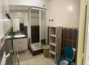 a bathroom with a toilet and a sink and a shower at Résidence Louis in Saint-Denis +5 photos