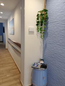 a hallway with a blue wall with a plant on it at La casa di mamma in Monopoli