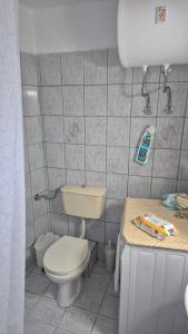 a small bathroom with a toilet and a sink at Dimitra House in Parga