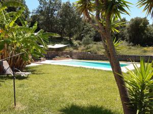 a swimming pool in a yard with a palm tree at Corfu Green Escape in Achílleion