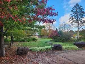 a garden with trees and flowers and a sidewalk at Bowral Central Garden Apartment in Bowral