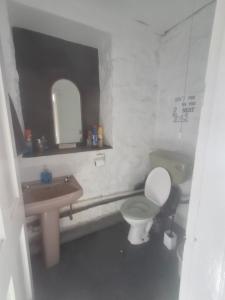 a bathroom with a toilet and a sink and a mirror at Park house farm caravan 2 in Richmond