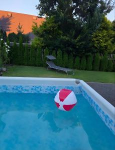 a red and white ball in a swimming pool at White Haven Private Sauna & Pool in Chřibská