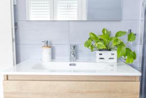 a bathroom sink with a potted plant on it at Ischera Apartments in Guspini +16 photos