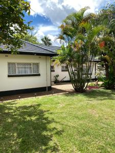 a house with a palm tree in the yard at Imani Guest House in Bulawayo