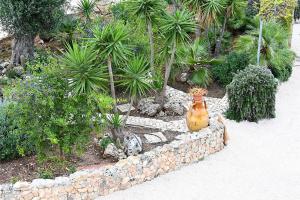 a garden with a vase sitting on a stone wall at Casa Macchiosa in Torre Canne