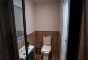 a small bathroom with a toilet and a sink at Hidden Gem Townhouse - Cahersiveen in Cahersiveen