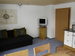 ein Wohnzimmer mit einem schwarzen Sofa und einem TV in der Unterkunft Haus Sonnenschein in Warth am Arlberg