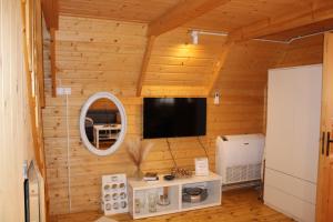 a living room with a television in a wooden wall at Mała Toskania in Kawec