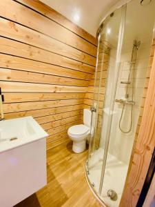 a bathroom with a toilet and a glass shower at Domaine de l'Ours / Camping Lodge in Saint-Urcize +79 photos
