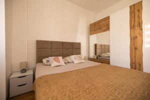 a bedroom with a large bed and a mirror at Liman 5 Riverside 209 i 109 with Free Private Parking in Novi Sad