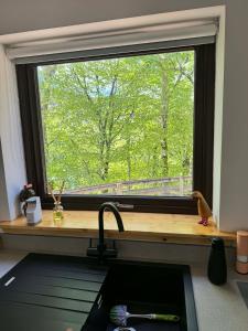 a window over a kitchen sink with a view of trees at 1 Manse Lane in Portree