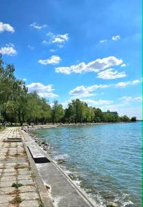 a view of the shoreline of a lake at Balatoni HUNOR Vendégház in Balatonvilágos