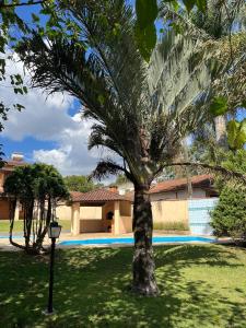 a palm tree in a yard next to a building at Chácara com Piscina in Poços de Caldas