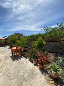 a patio with a table and a bunch of plants at Guesthouse SELI in Berat