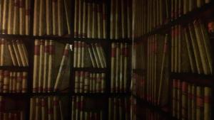 a book shelf filled with lots of books at Torre Cepollini in Albenga