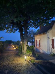 a tree in front of a house with lights next to it at Gîte des Tilleuls - Nature, calme, télétravail - Animaux acceptés in Graçay