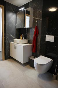 a bathroom with a white toilet and a sink at Apartment Alana in Podvelka
