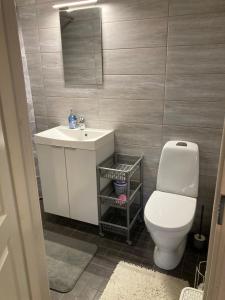 a bathroom with a white toilet and a sink at Aru talu külalistemaja in Iilaste +7 photos