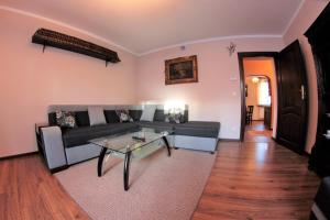 a living room with a couch and a table at Apartament Morawka in Stronie Śląskie