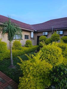 a house with a palm tree in the yard at Rest & Digest in Serowe