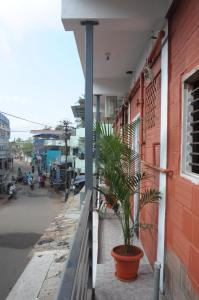 a plant in a pot on the side of a building at Landmark Residency in Atirāmpattinam